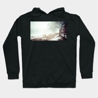 Welsh Flock#1 Hoodie